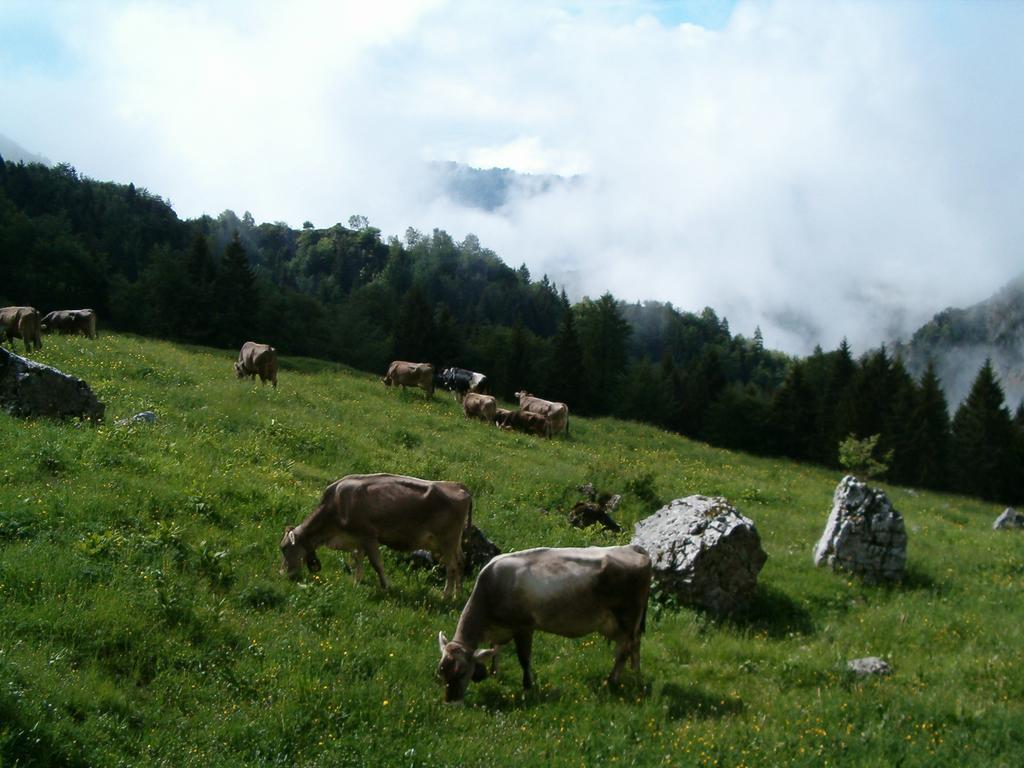 Agriturismo La Zangola Tremosine Bagian luar foto